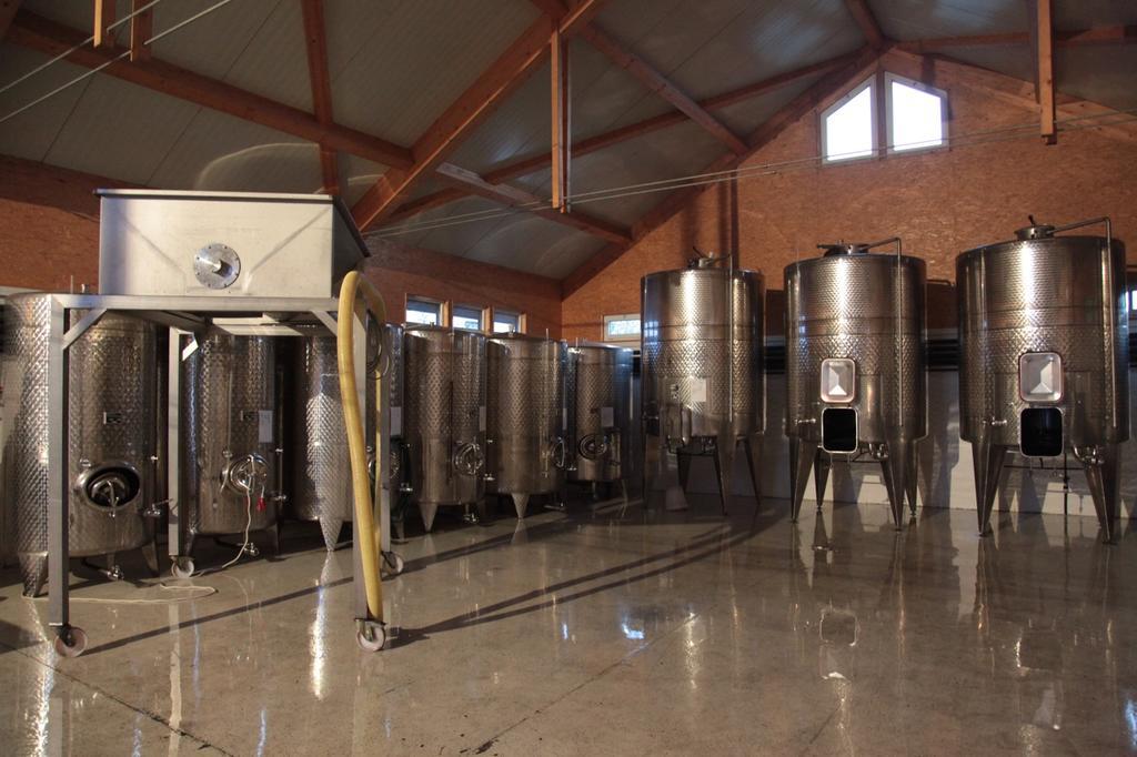 Winzerzimmer - Weingut Tinhof Eisenstadt Esterno foto