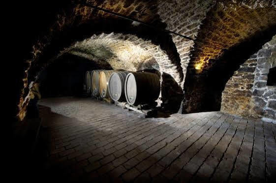 Winzerzimmer - Weingut Tinhof Eisenstadt Esterno foto